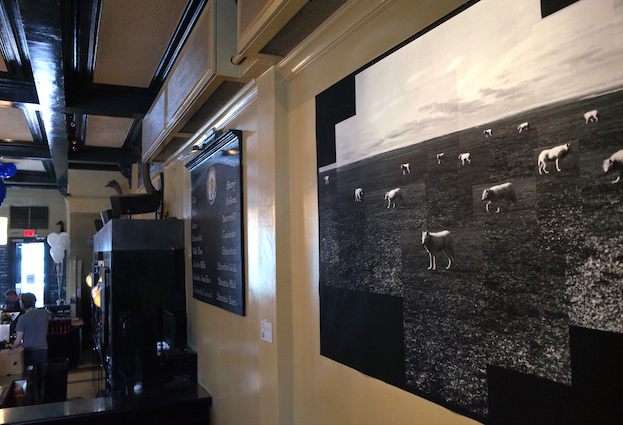 installation: Bar Bily Kun, Montreal